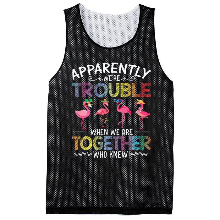 Apparently Were Trouble When We Are Together Who Knew Funny Mesh Reversible Basketball Jersey Tank