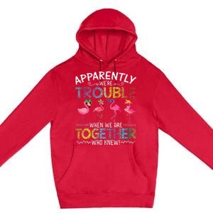 Apparently Were Trouble When We Are Together Who Knew Funny Premium Pullover Hoodie