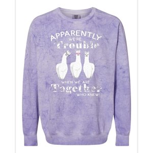 Apparently We’Re Trouble When We Are Together Who Knew Funny Llama Colorblast Crewneck Sweatshirt