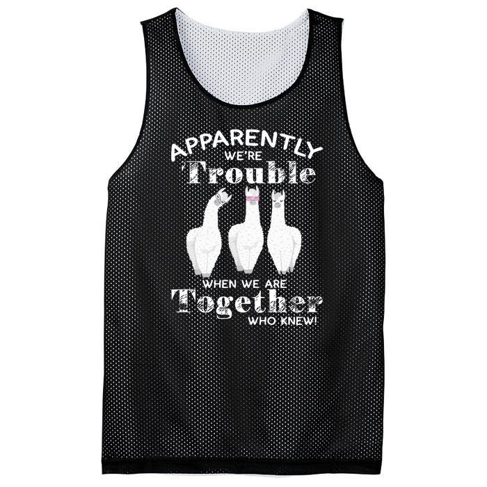 Apparently We’Re Trouble When We Are Together Who Knew Funny Llama Mesh Reversible Basketball Jersey Tank