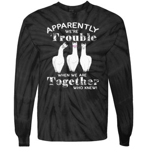 Apparently We’Re Trouble When We Are Together Who Knew Funny Llama Tie-Dye Long Sleeve Shirt