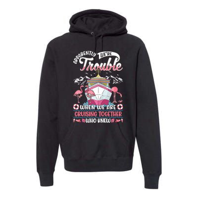 Apparently Were Trouble When We Are Cruising Together Premium Hoodie