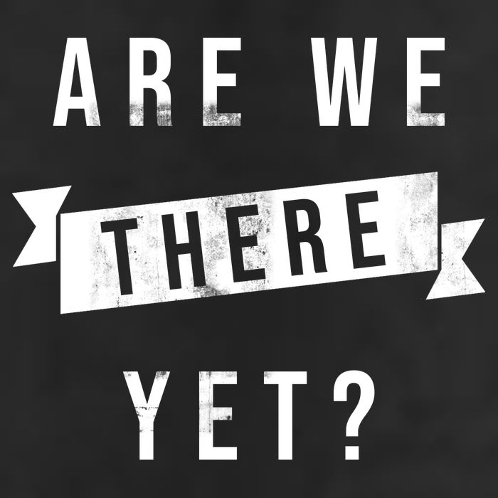 Are We There Yet Travel Road Trip Adult Drive Performance Visor