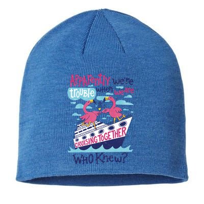 Apparently Were Trouble When We Are Cruising Together Cute Gift Sustainable Beanie