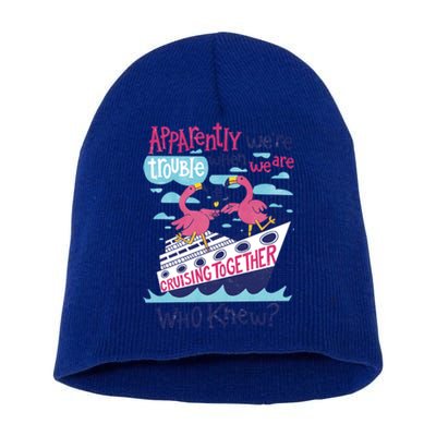 Apparently Were Trouble When We Are Cruising Together Cute Gift Short Acrylic Beanie