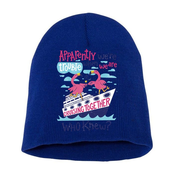 Apparently Were Trouble When We Are Cruising Together Cute Gift Short Acrylic Beanie