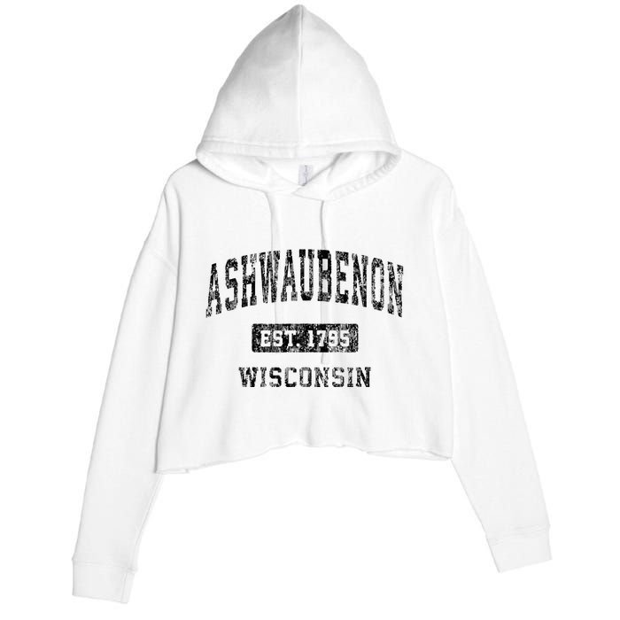 Ashwaubenon Wisconsin Wi Vintage Sports Design Crop Fleece Hoodie