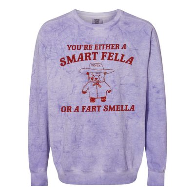 Are You A Smart Fella Or Fart Smella Colorblast Crewneck Sweatshirt