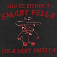 Are You A Smart Fella Or Fart Smella Adult Drive Performance Visor