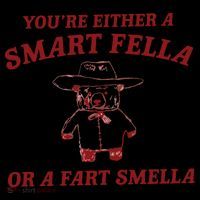 Are You A Smart Fella Or Fart Smella Premium T-Shirt