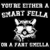 Are You A Smart Fella Or Fart Smella Retro Cartoon Drawstring Bag
