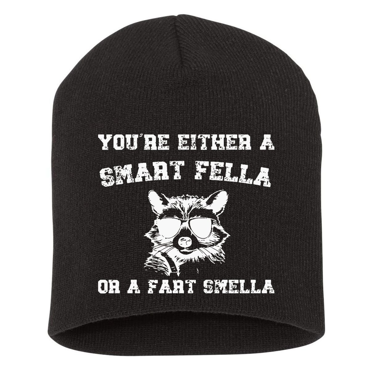 Are You A Smart Fella Or Fart Smella Retro Cartoon Short Acrylic Beanie