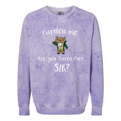 Are You Aaron Purr Sir? Funny Cat Gift Hooded Great Gift Colorblast Crewneck Sweatshirt