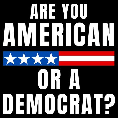 Are You American Or Democrat? T-Shirt