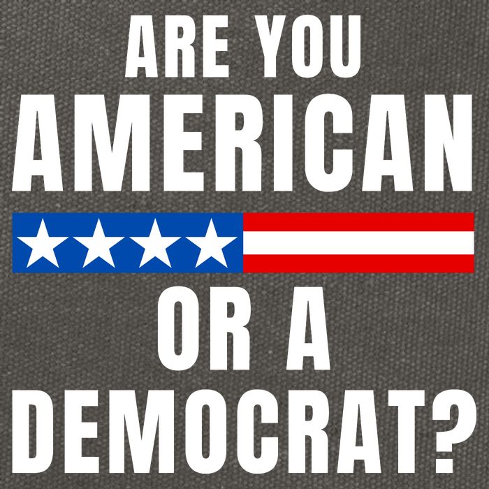 Are You American Or Democrat? Cotton Canvas Backpack