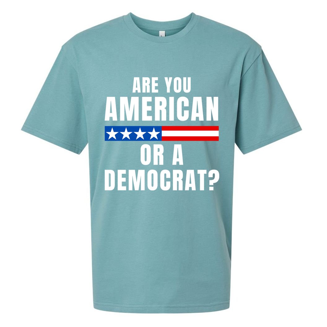 Are You American Or Democrat? Sueded Cloud Jersey T-Shirt