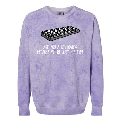 Are You A Keyboard Because You're Just My Type Funny Colorblast Crewneck Sweatshirt