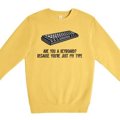 Are You A Keyboard Because You're Just My Type Funny Premium Crewneck Sweatshirt