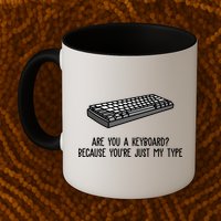 Are You A Keyboard Because You're Just My Type Funny Mug