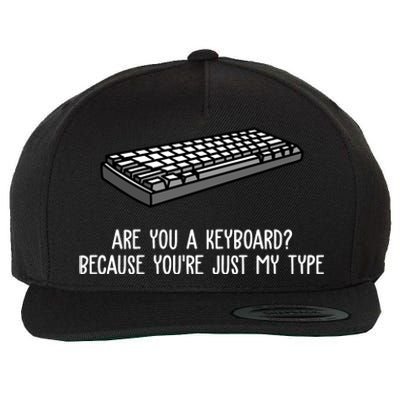 Are You A Keyboard Because You're Just My Type Funny Wool Snapback Cap