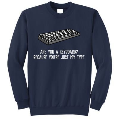 Are You A Keyboard Because You're Just My Type Funny Sweatshirt