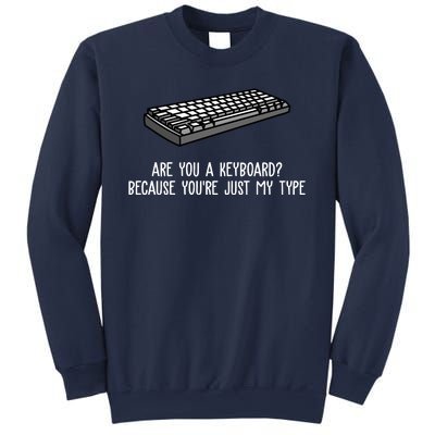 Are You A Keyboard Because You're Just My Type Funny Sweatshirt