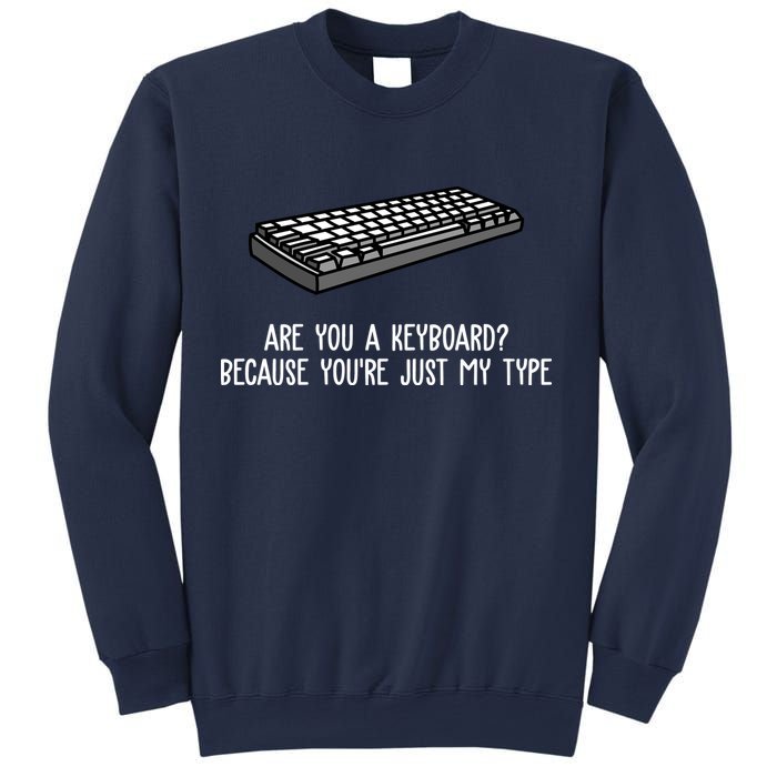 Are You A Keyboard Because You're Just My Type Funny Sweatshirt