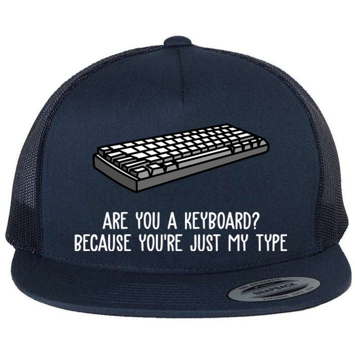 Are You A Keyboard Because You're Just My Type Funny Flat Bill Trucker Hat