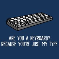 Are You A Keyboard Because You're Just My Type Funny Premium T-Shirt