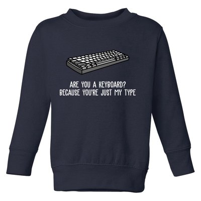 Are You A Keyboard Because You're Just My Type Funny Toddler Sweatshirt