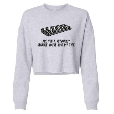 Are You A Keyboard Because You're Just My Type Funny Cropped Pullover Crew