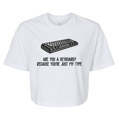 Are You A Keyboard Because You're Just My Type Funny Bella+Canvas Jersey Crop Tee