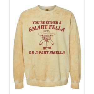 Are You A Smart Fella Or Fart Smella Colorblast Crewneck Sweatshirt