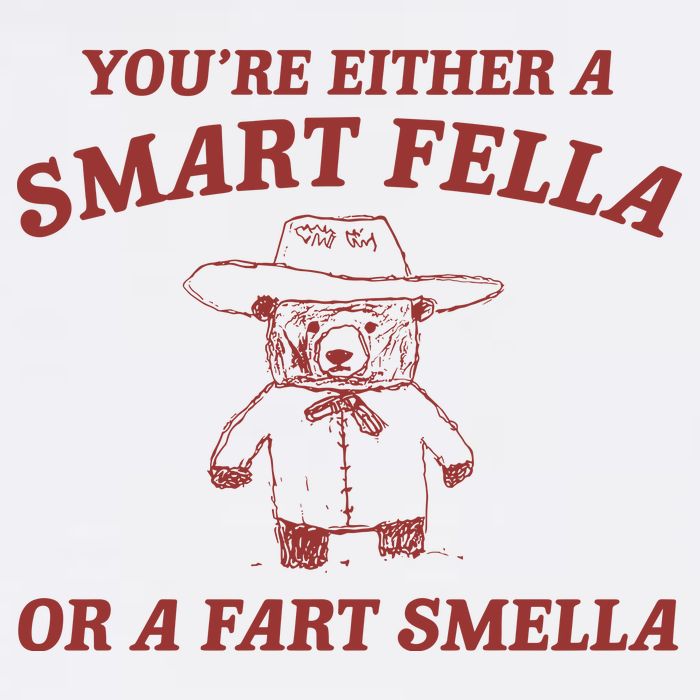 Are You A Smart Fella Or Fart Smella Adult Drive Performance Visor