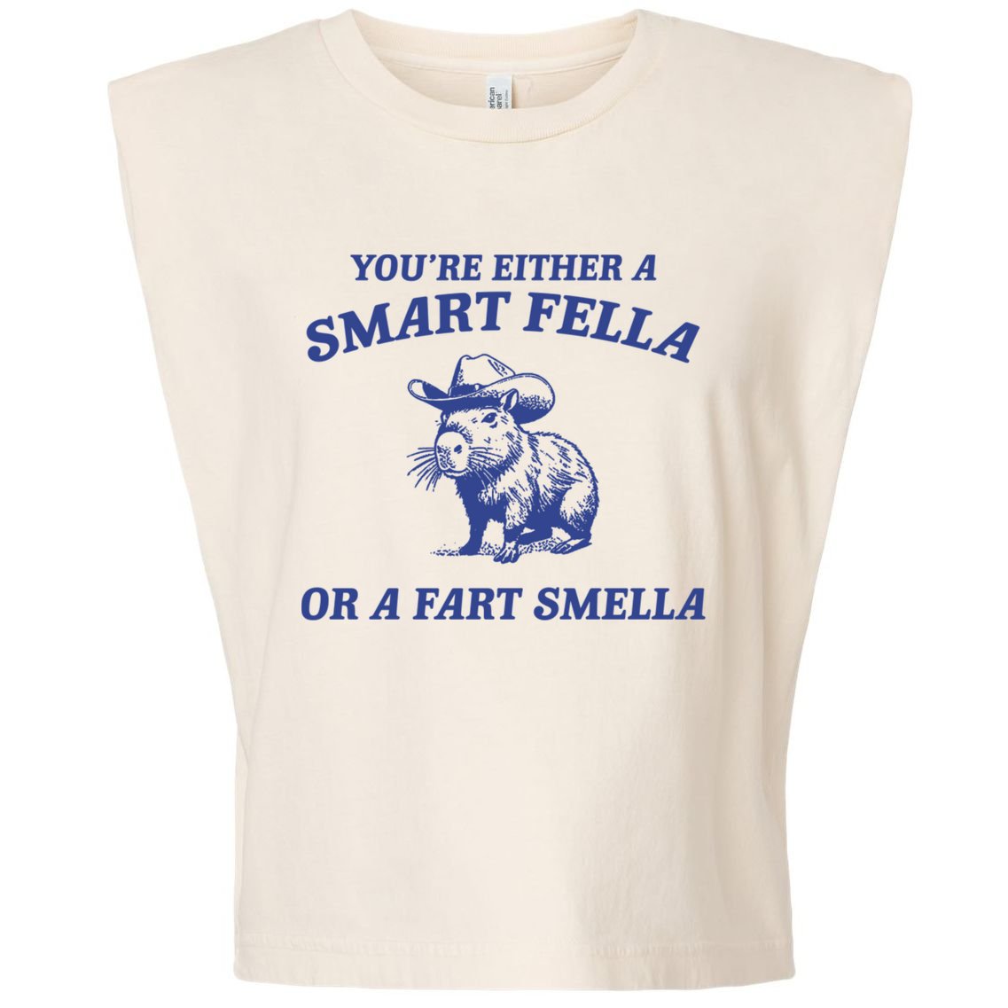 Are You A Smart Fella Or Fart Smella Vintage Style Garment-Dyed Women's Muscle Tee