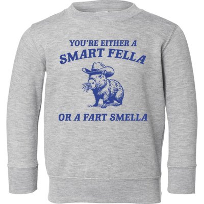 Are You A Smart Fella Or Fart Smella Vintage Style Toddler Sweatshirt