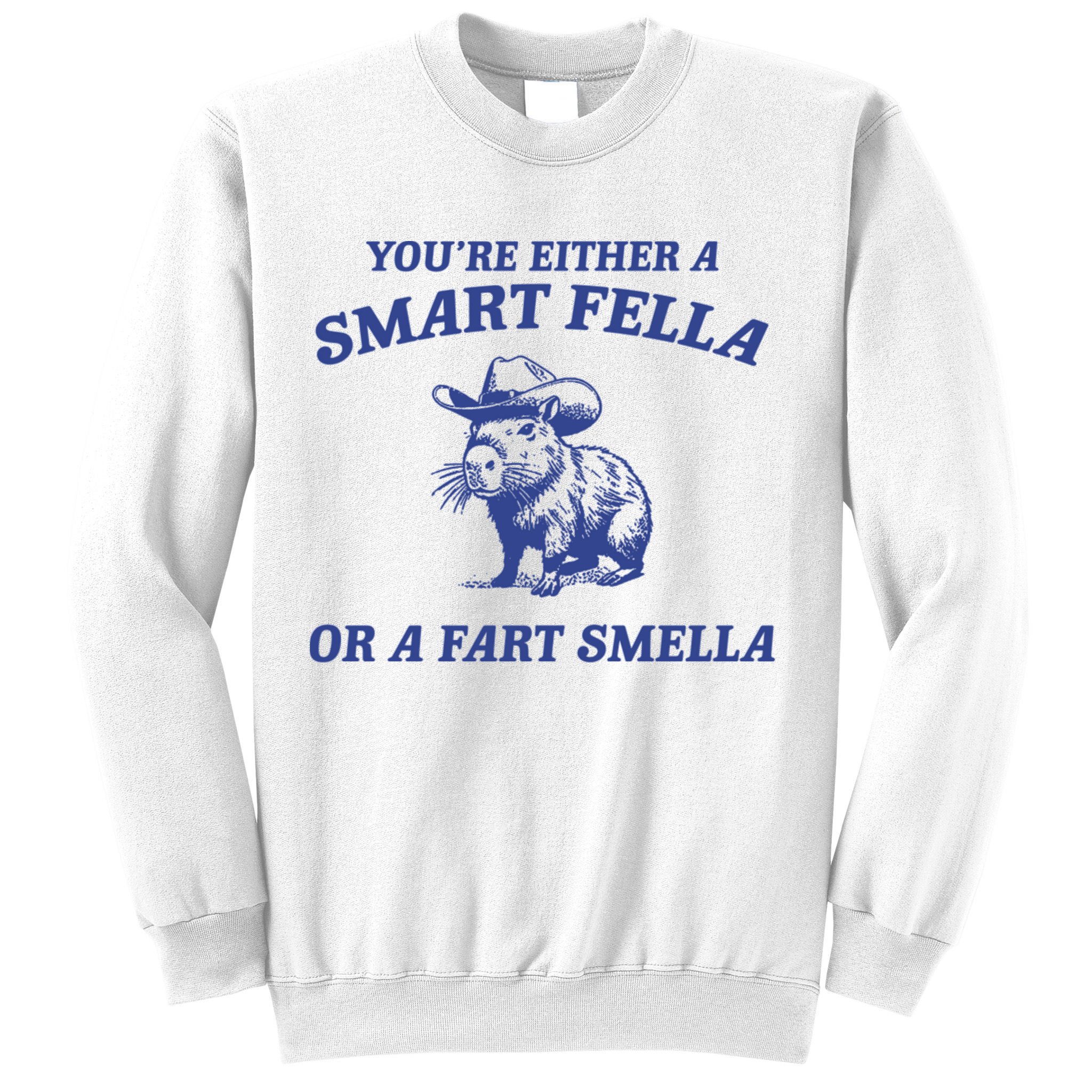 Are You A Smart Fella Or Fart Smella Vintage Style Sweatshirt