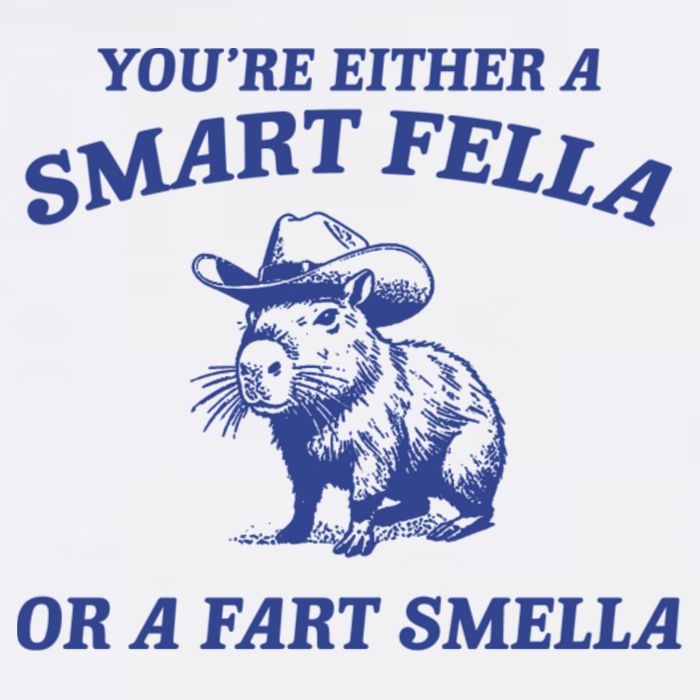 Are You A Smart Fella Or Fart Smella Vintage Style Mug