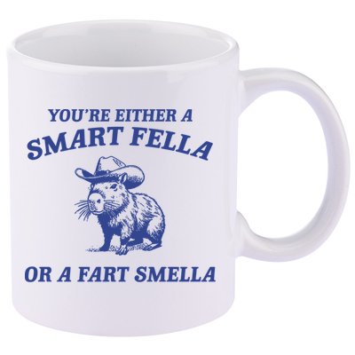 Are You A Smart Fella Or Fart Smella Vintage Style 11oz C Handle Ceramic Mug