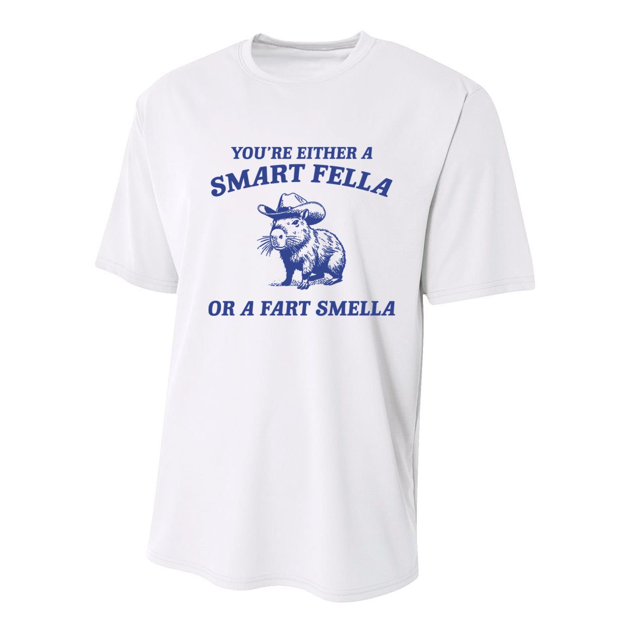 Are You A Smart Fella Or Fart Smella Vintage Style Youth Performance Sprint T-Shirt