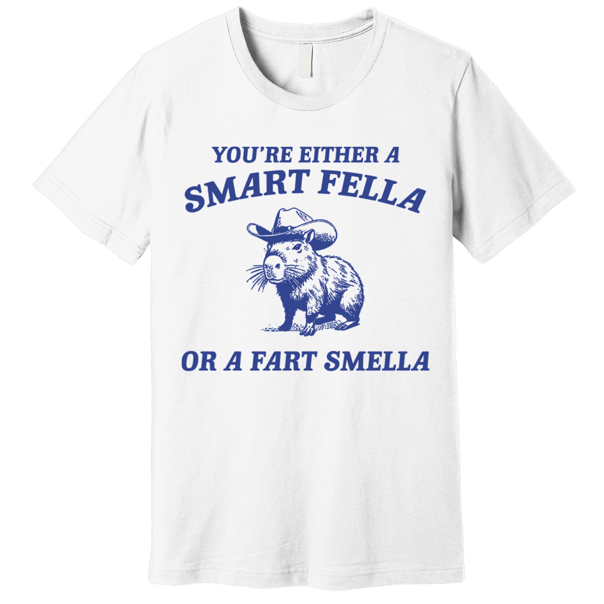 Are You A Smart Fella Or Fart Smella Vintage Style Premium T-Shirt