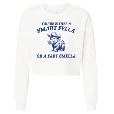 Are You A Smart Fella Or Fart Smella Vintage Style Cropped Pullover Crew