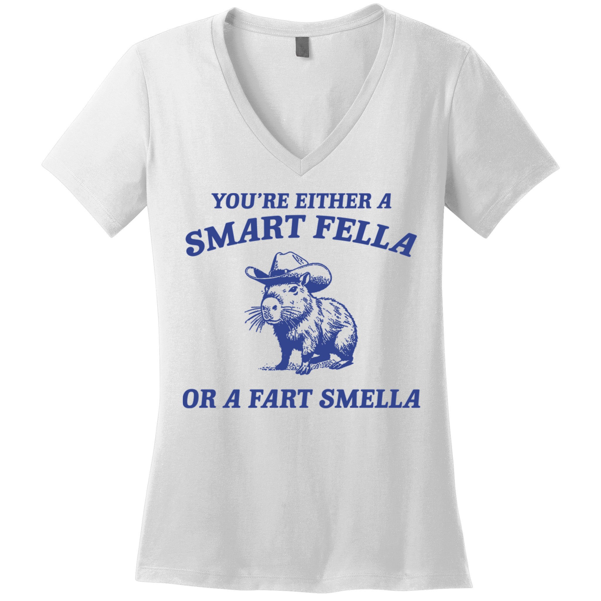 Are You A Smart Fella Or Fart Smella Vintage Style Women's V-Neck T-Shirt