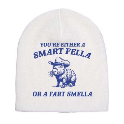 Are You A Smart Fella Or Fart Smella Vintage Style Short Acrylic Beanie
