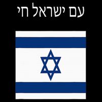 Am Yisrael Chai Hebrew For Israel Lives Womens Tank Top