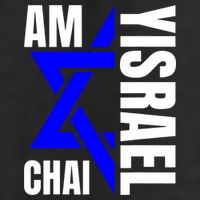 Am Yisrael Chai Israel Star Of David 7 Panel Mesh Trucker Snapback Hat
