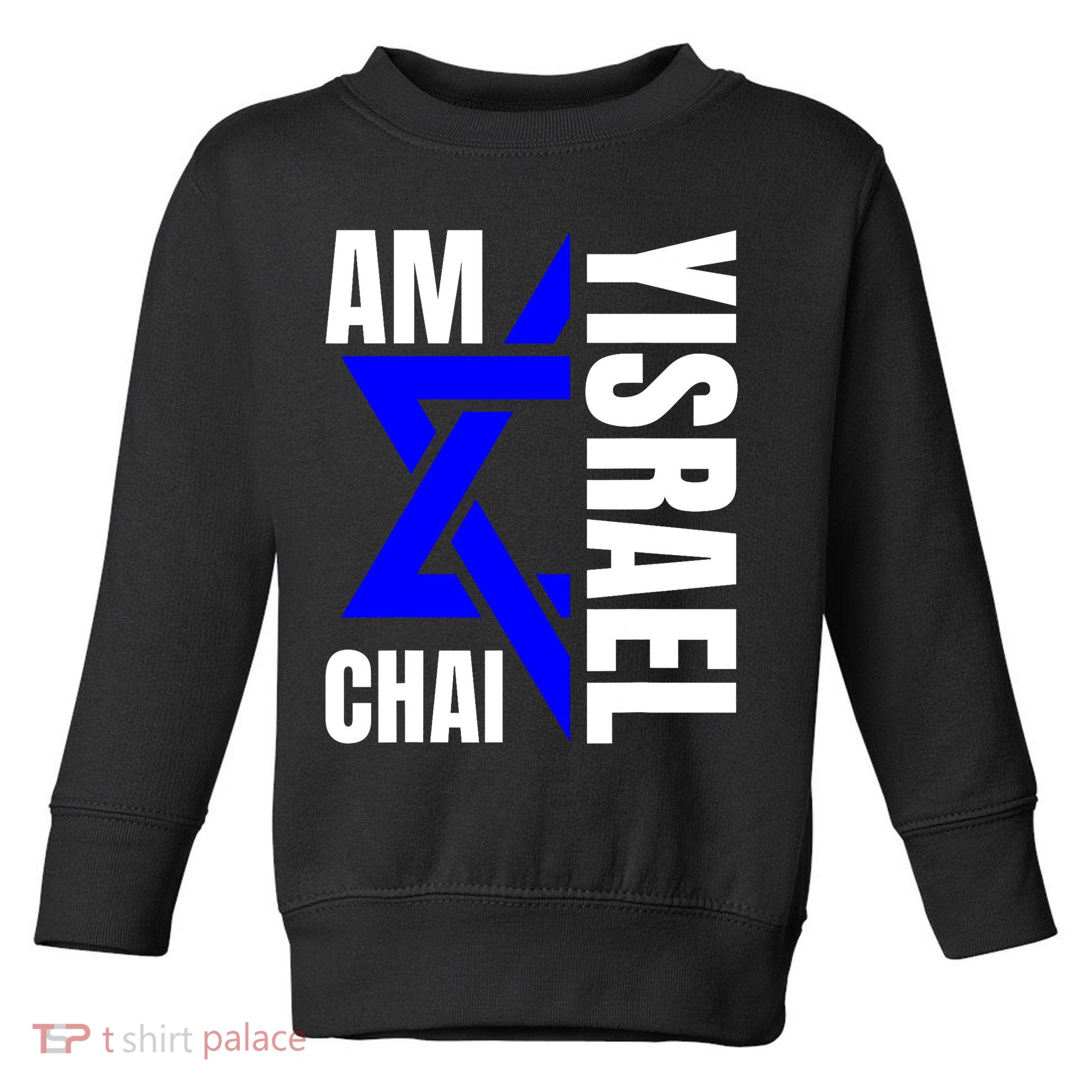 Am Yisrael Chai Israel Star Of David Toddler Sweatshirt