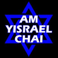 Am Yisrael Chai Israel Star Of David Cooling Performance Crew T-Shirt