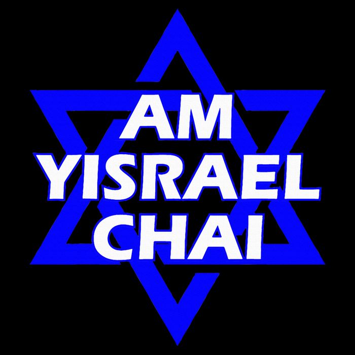 Am Yisrael Chai Israel Star Of David Cooling Performance Crew T-Shirt