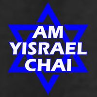 Am Yisrael Chai Israel Star Of David Adult Drive Performance Visor